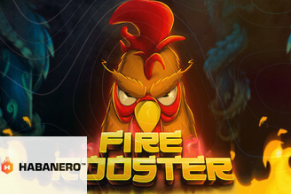 Fire Rooster